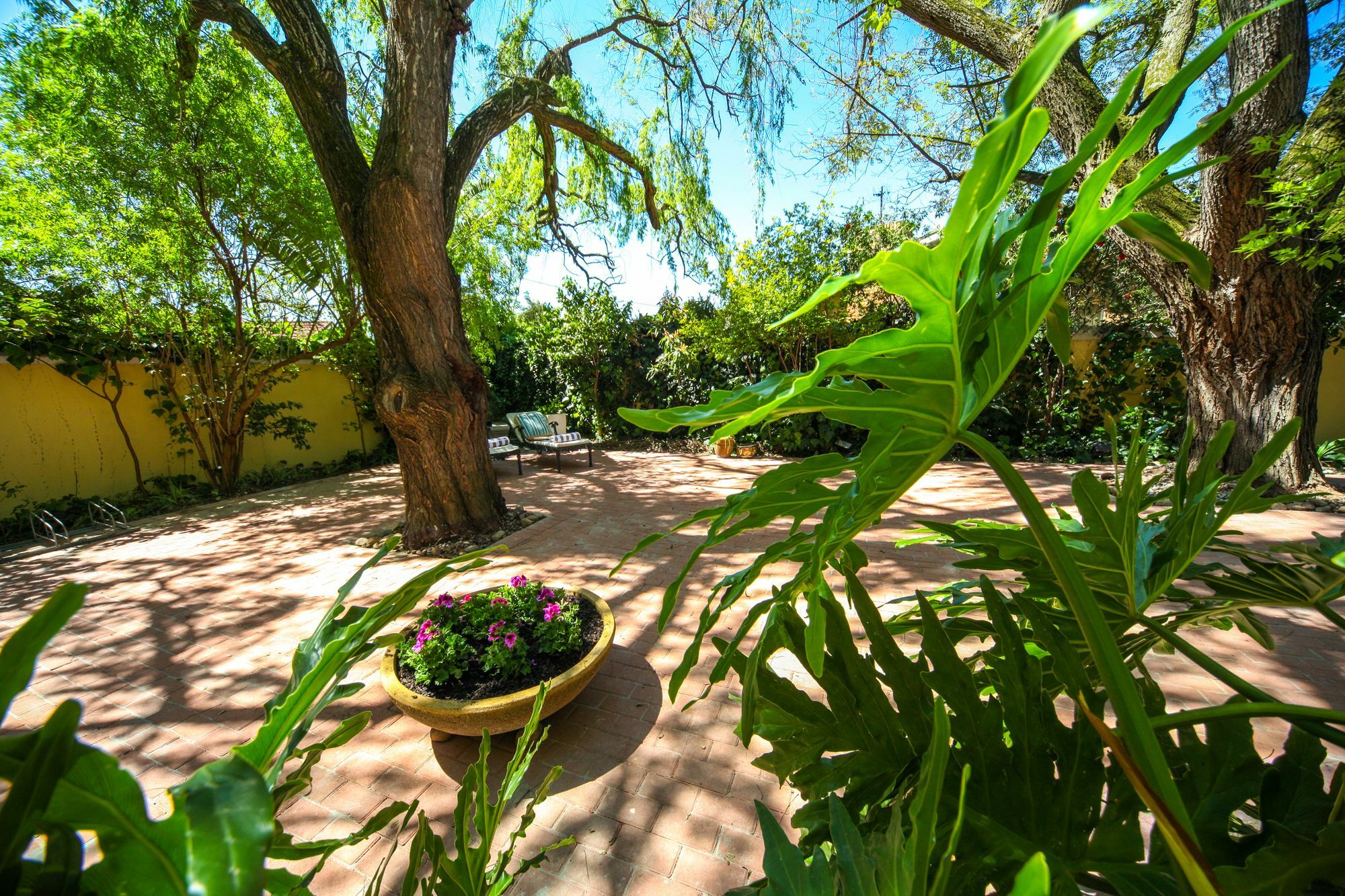 Hunneyball House Stellenbosch Eksteriør bilde